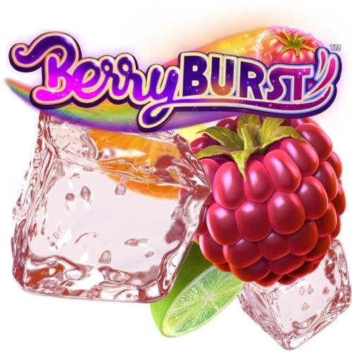 Berryburst -Play Free casino